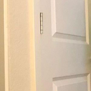 Meet your Posher, Zoey